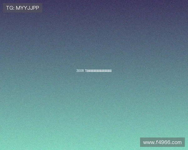 3008 T∨网页功能解析与实用技巧全面指南